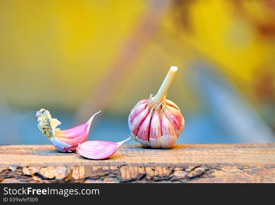 Garlics on old wood in autumn time