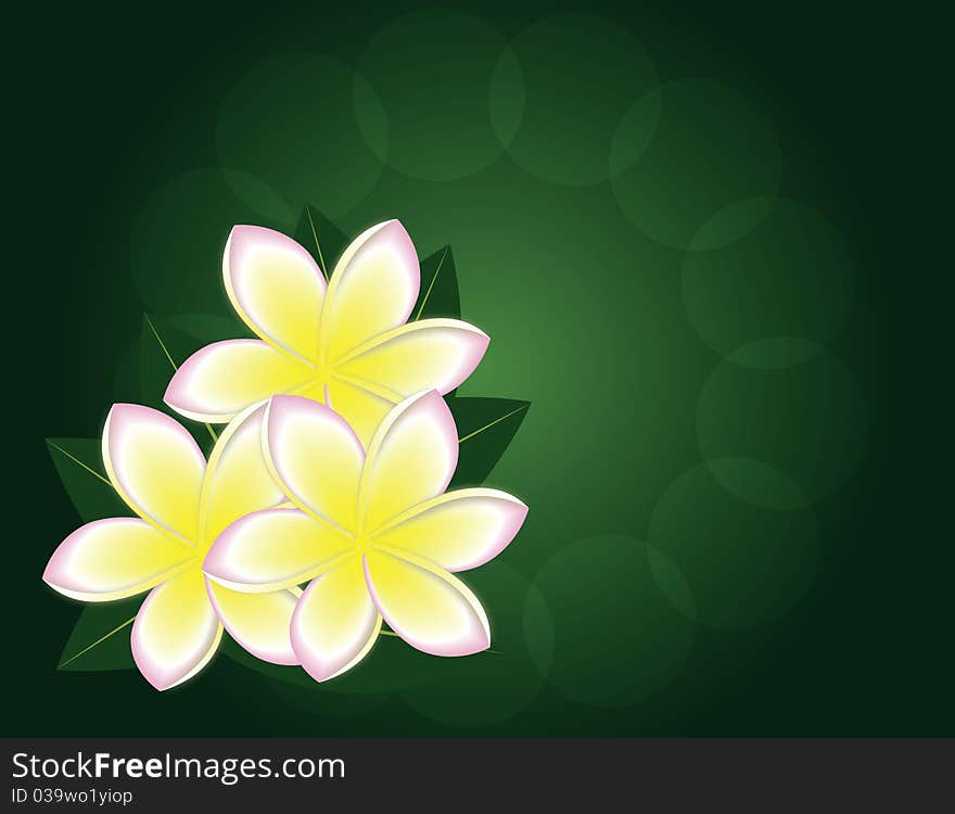 Green background with the flowers of magnolia