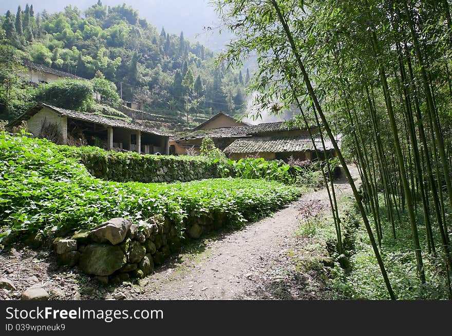 China Three Gorges people