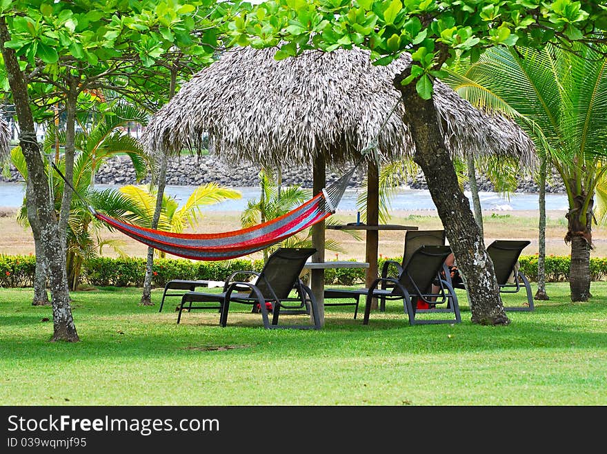 An empty hammock hanging on the lawn with the ocean in the background.