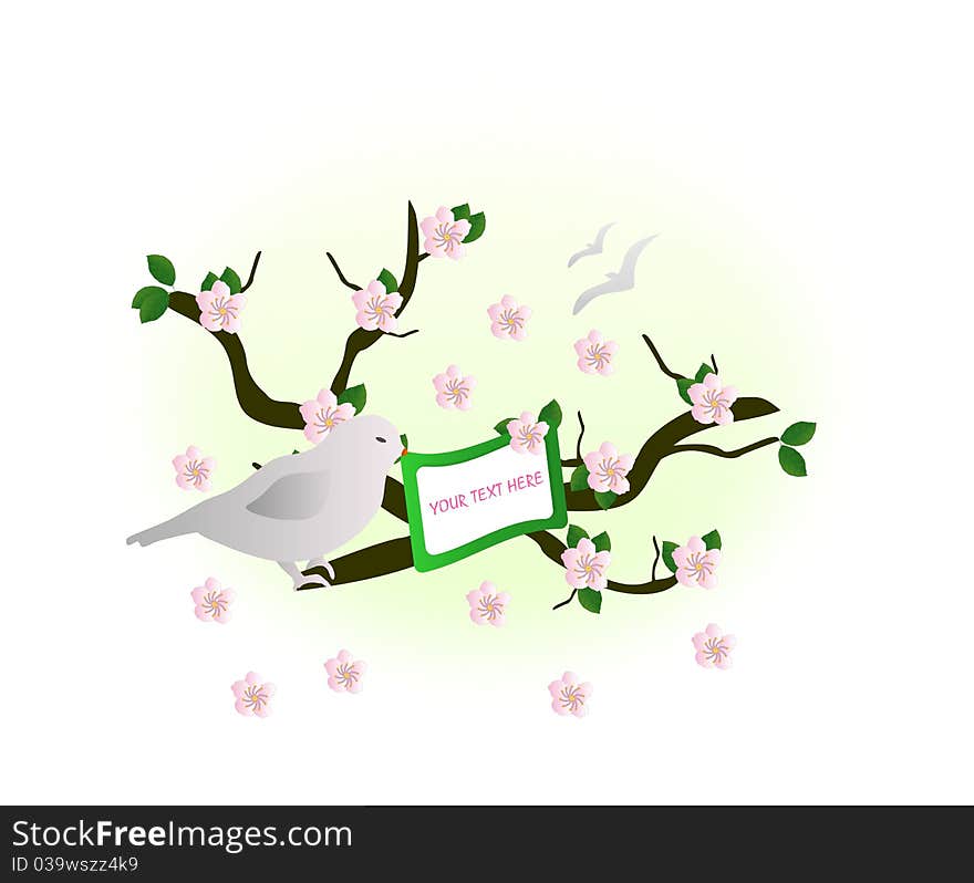 Cherry blossom, cdr vector