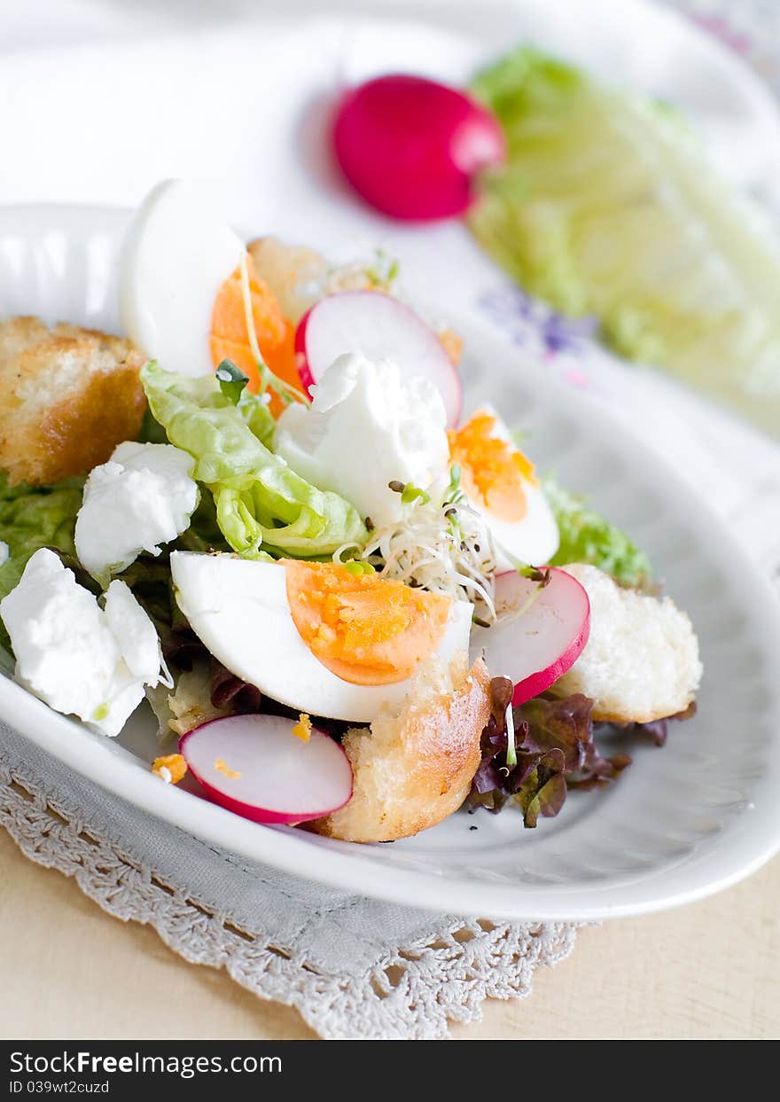 A fresh and light salad with egg and sprouts. A fresh and light salad with egg and sprouts