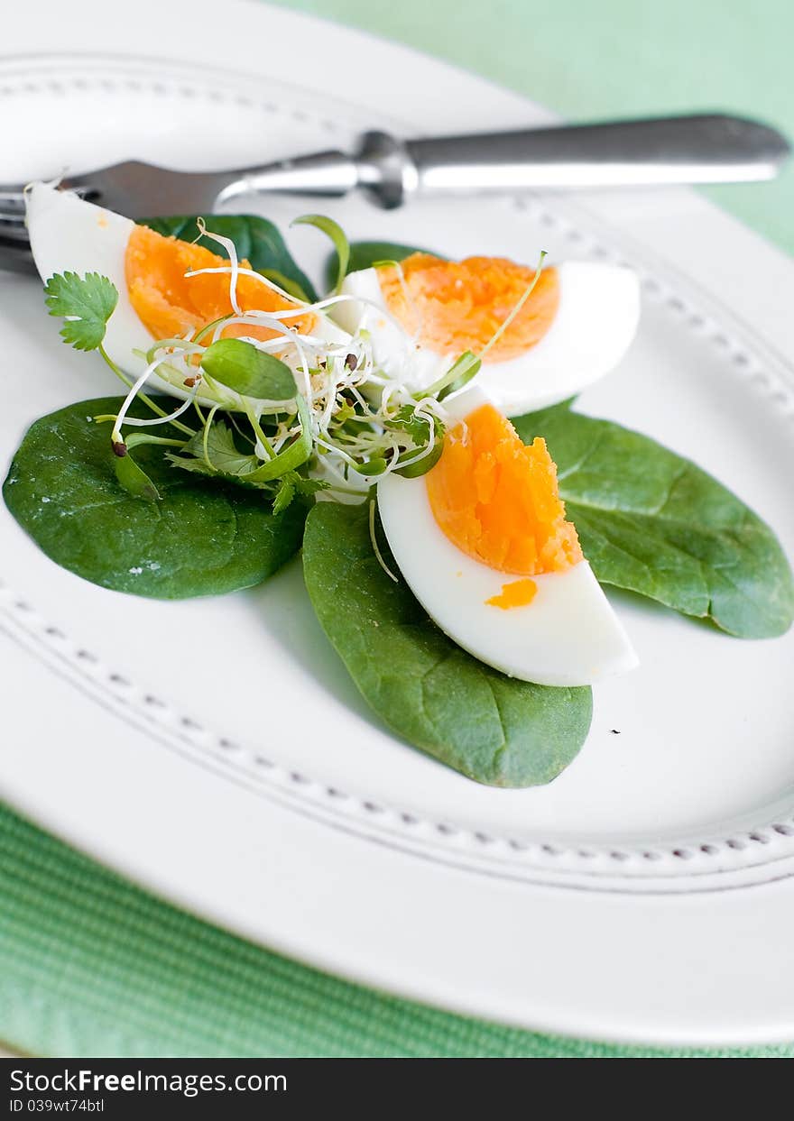 Appetizer with egg, spinach and sprouts