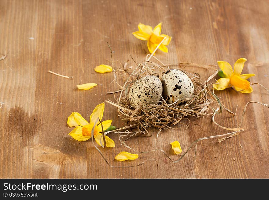 Quail S Eggs