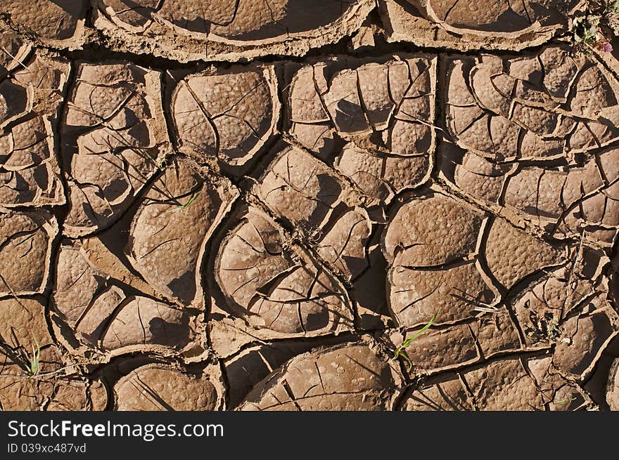 Dried ground brown to deep black crevices. Dried ground brown to deep black crevices