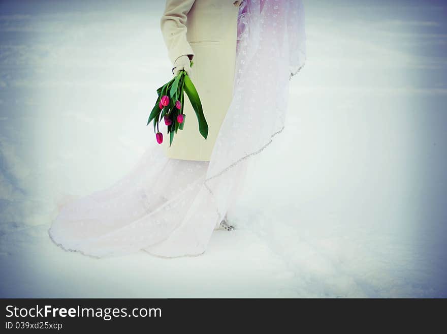 Flowers And Snow