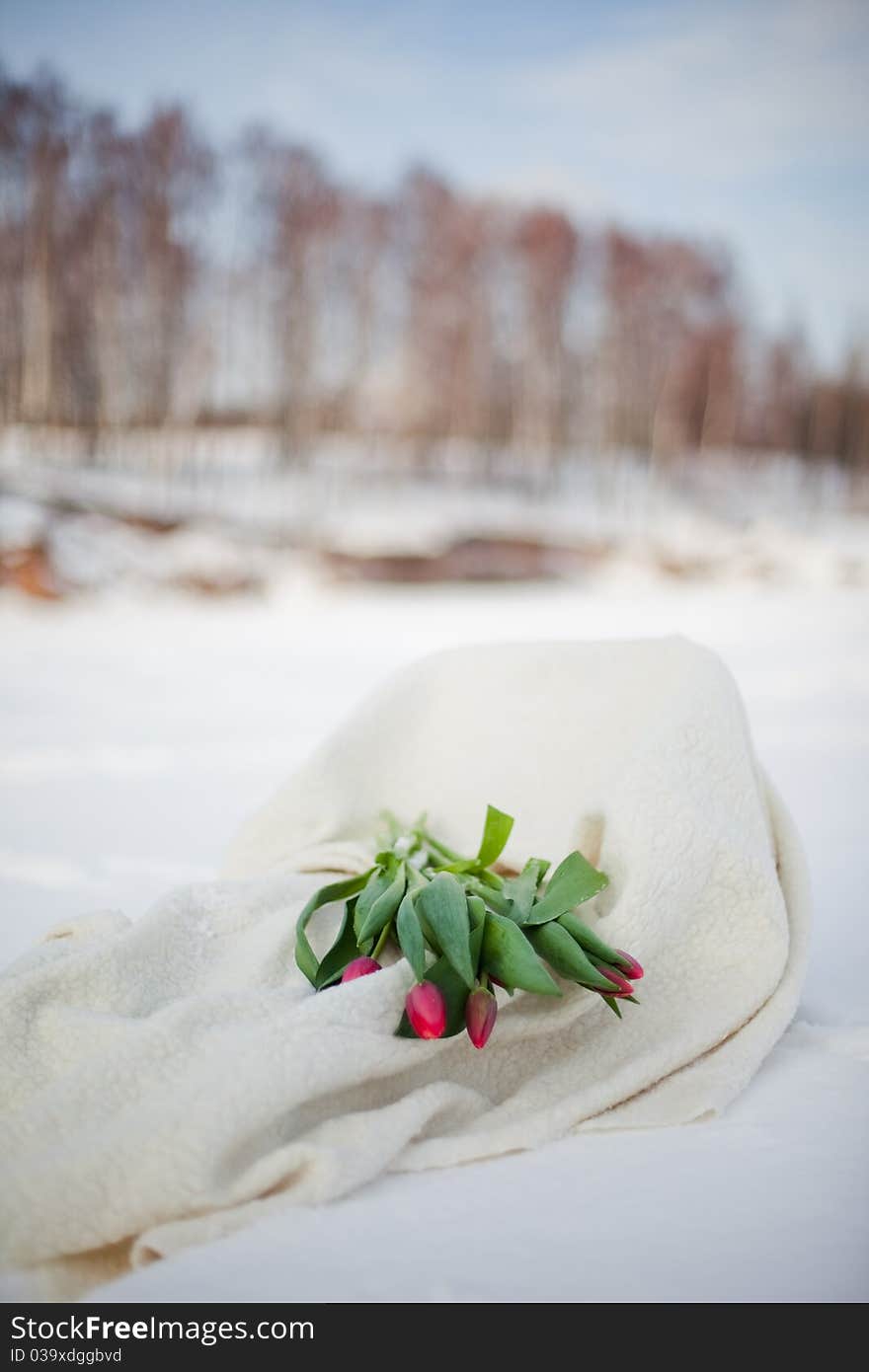 Flowers And Snow