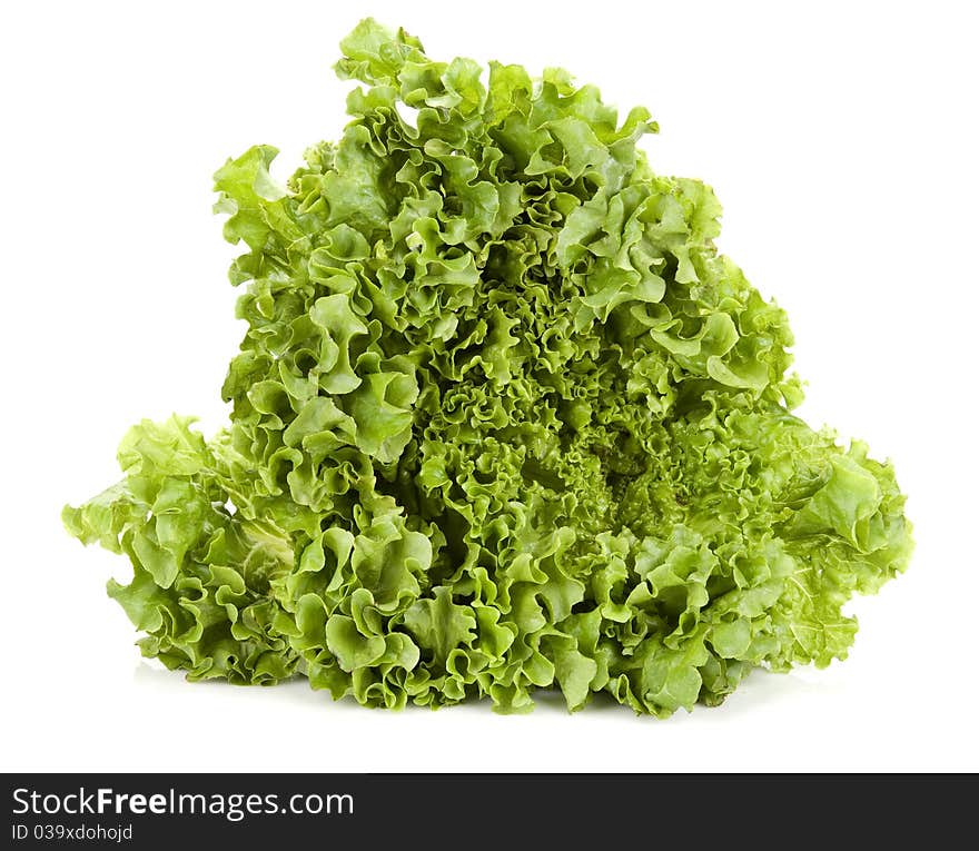 Fresh lettuce isolated on white background