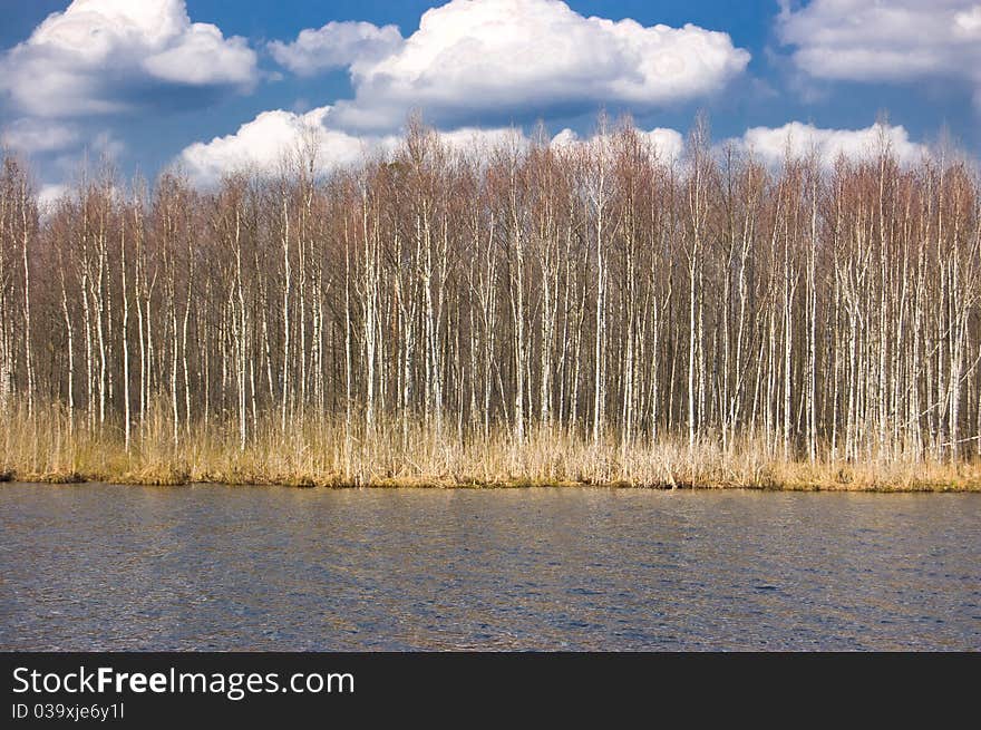 A wall of trees, river and sky with clouds. A wall of trees, river and sky with clouds