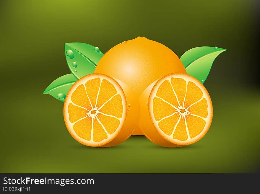 Illustration of fresh oranges kept on white background