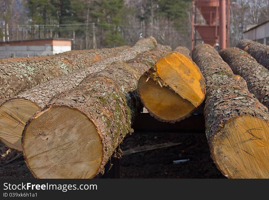 The ends of the logs cereals plan