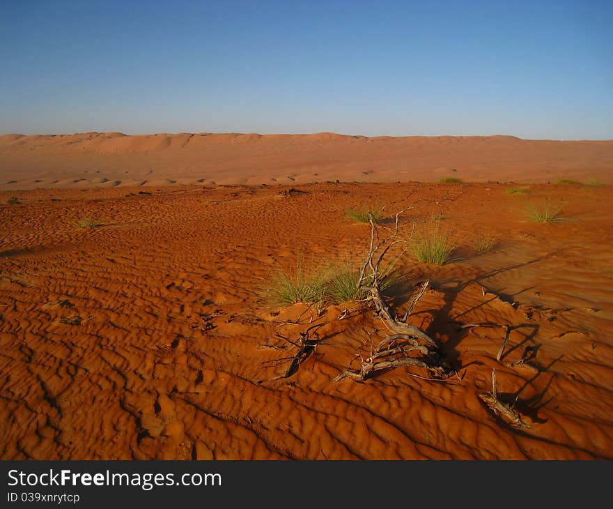 The Arabic Desert