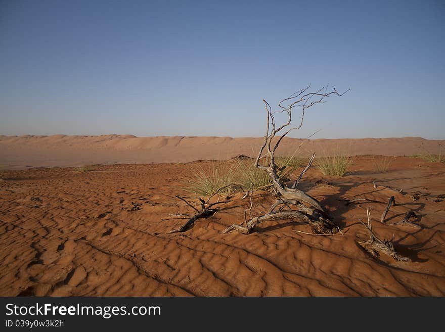 The Arabic Desert