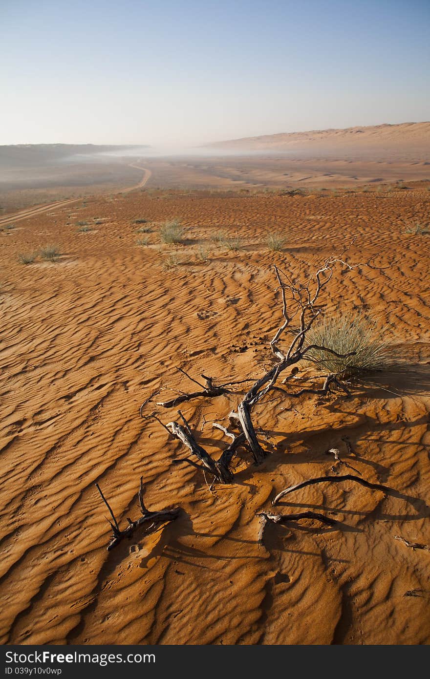 The Arabic Desert