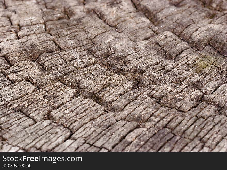 Close-up Of A Old Wooden Texture