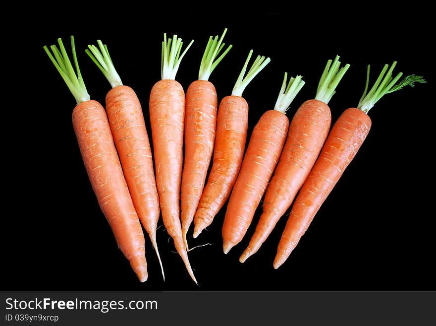 Carrot Isolated On Black