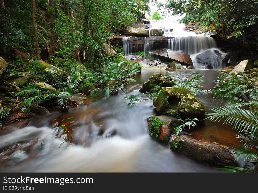 This Waterfall at Phukradung National park Thailand.