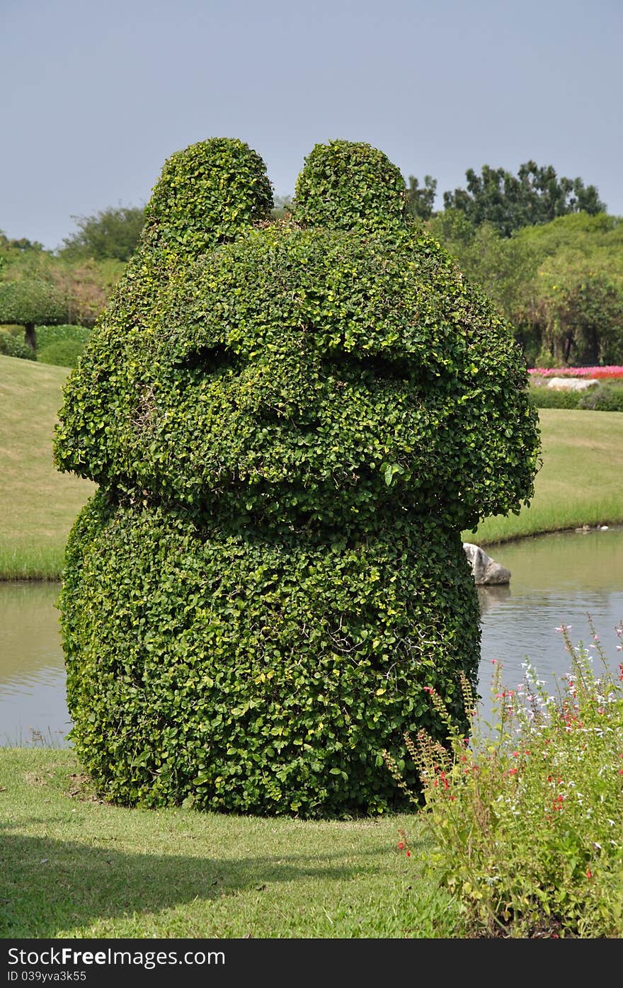 Trimmed Bush In Garden