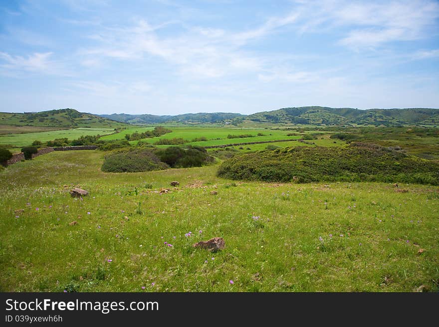 Green fields at Menorca