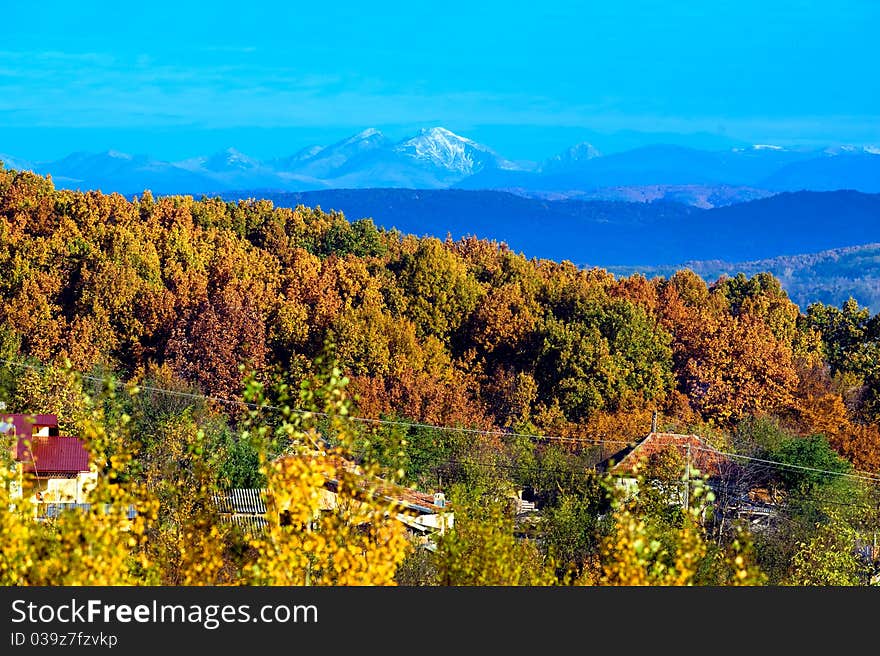 Autumn over the forest