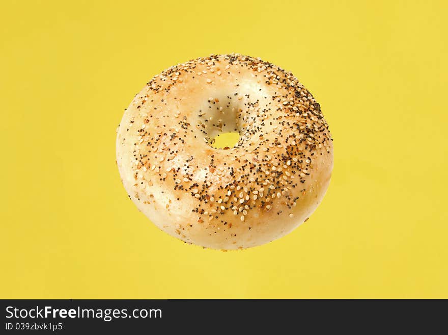 Everything Bagel