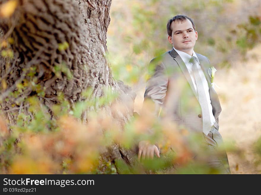 Well-dressed young man near the tree. Well-dressed young man near the tree