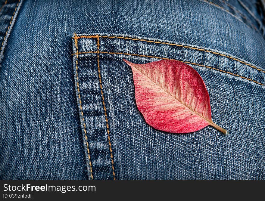 Red leaf on the pocket