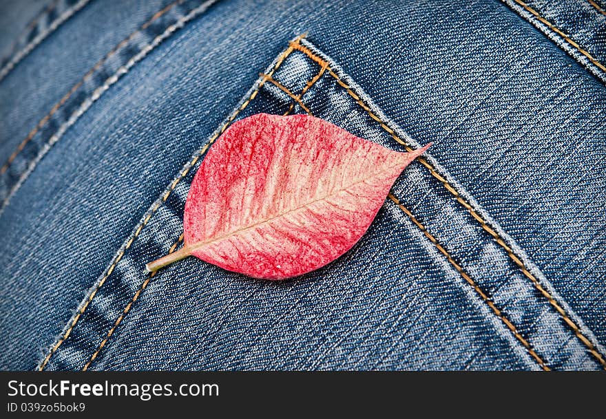 Red leaf on the pocket