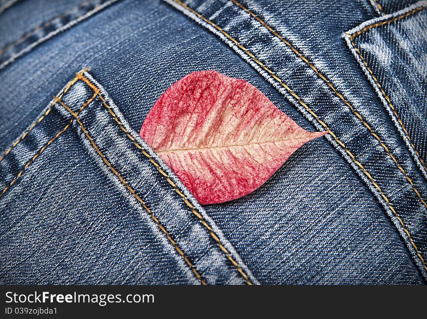 Red leaf on the pocket