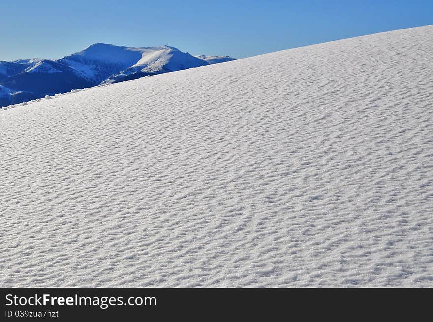 Winter on a hillside