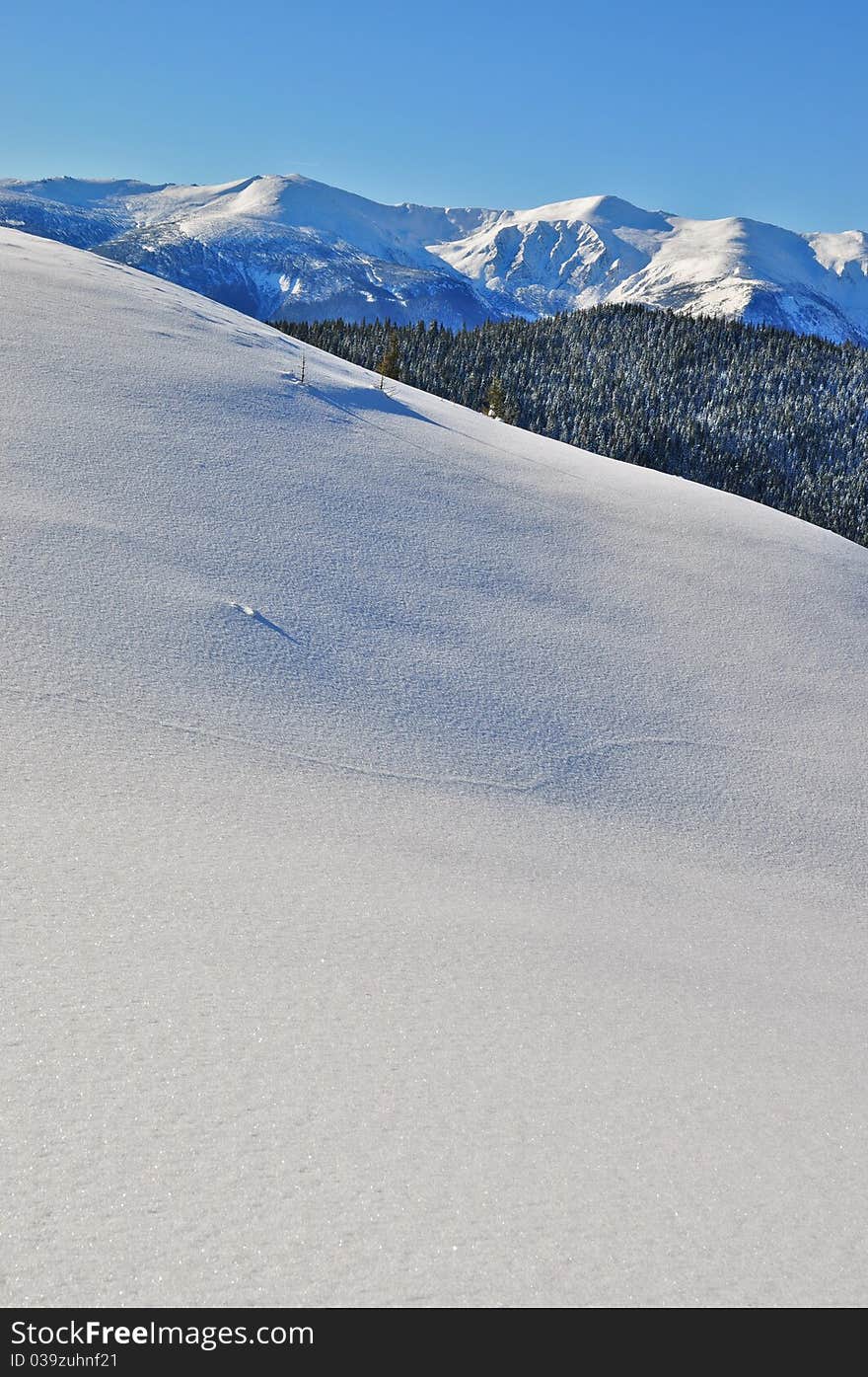 Winter on a hillside in a landscape under the dark blue sky