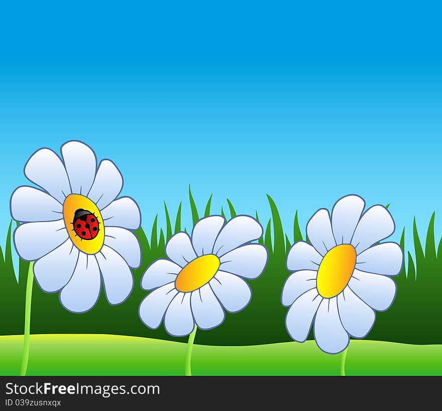 Three Daisies And Ladybug