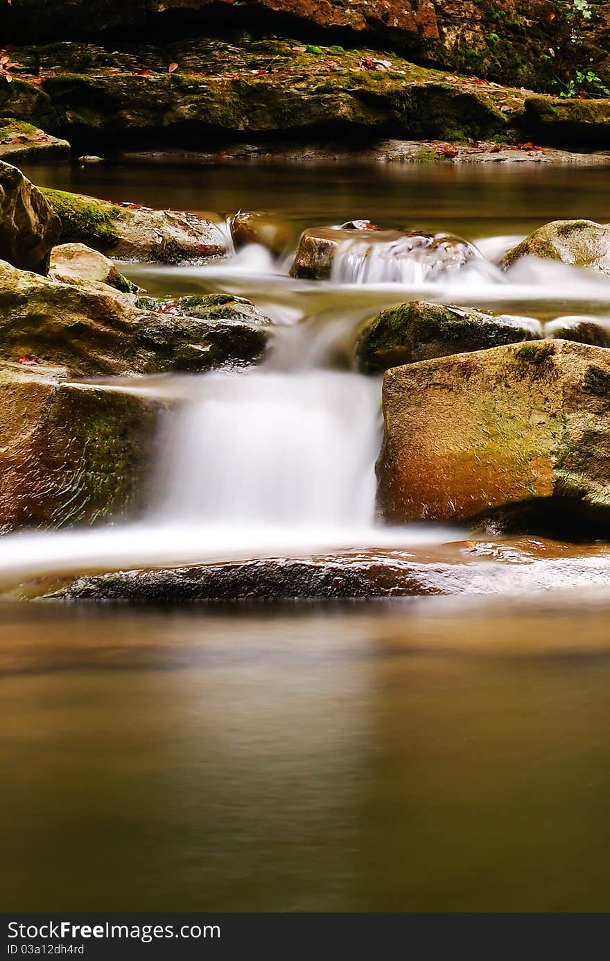 Calm waterf in the natural reserve. Calm waterf in the natural reserve