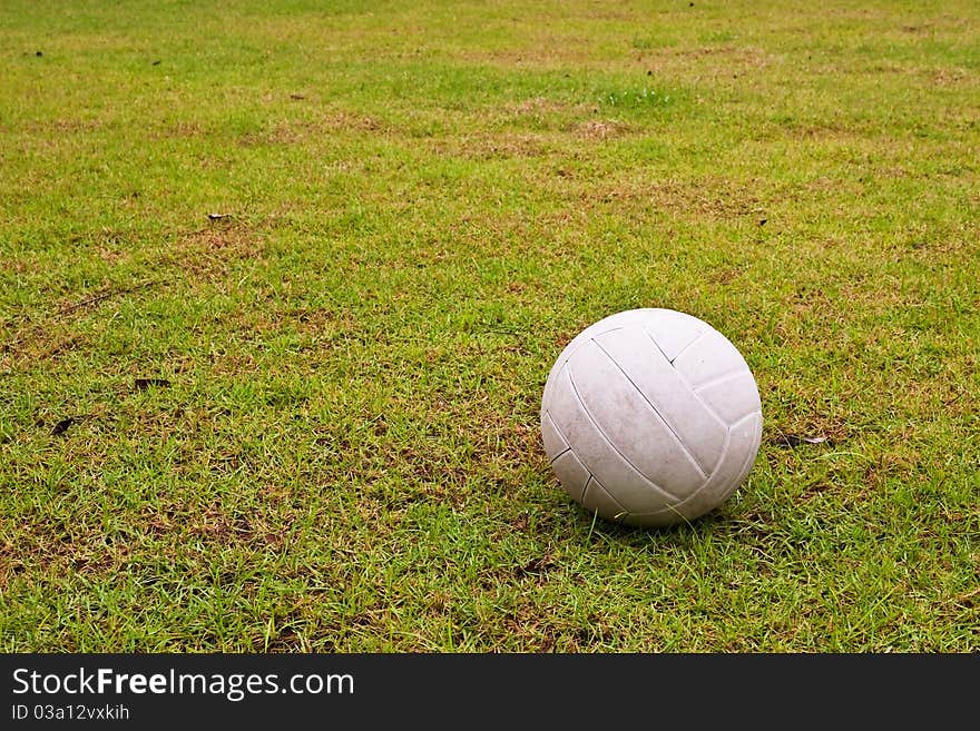 White ball on green grass