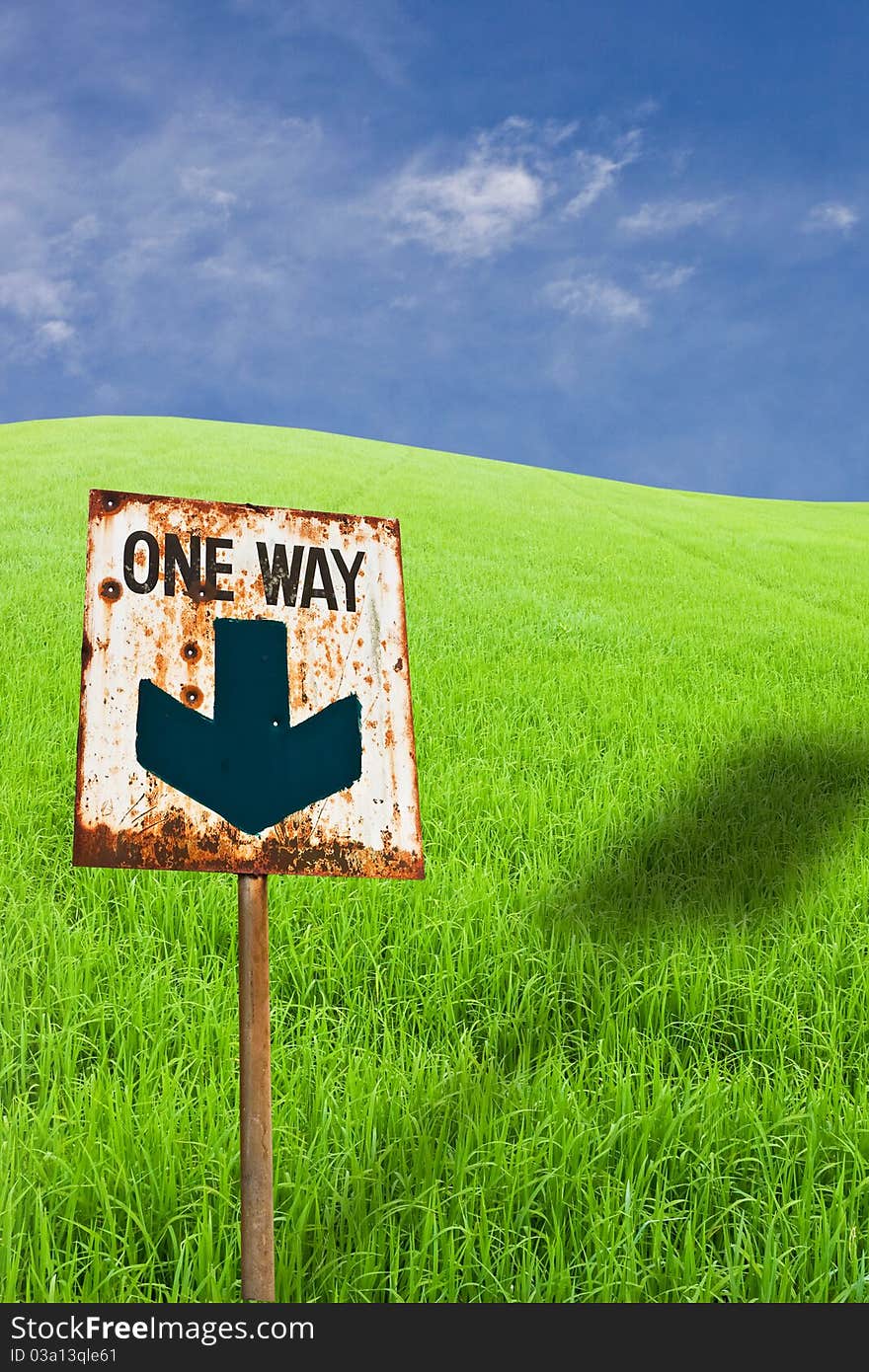 One way sign and shadow on green rice farm. One way sign and shadow on green rice farm