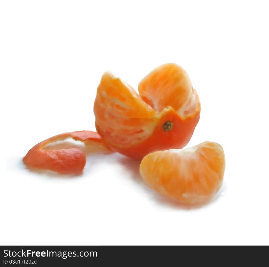 Mandarin. Digital painting isolated on white.