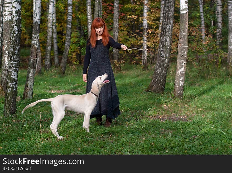 A girl in a black dress and white saliki pup in a forest. A girl in a black dress and white saliki pup in a forest