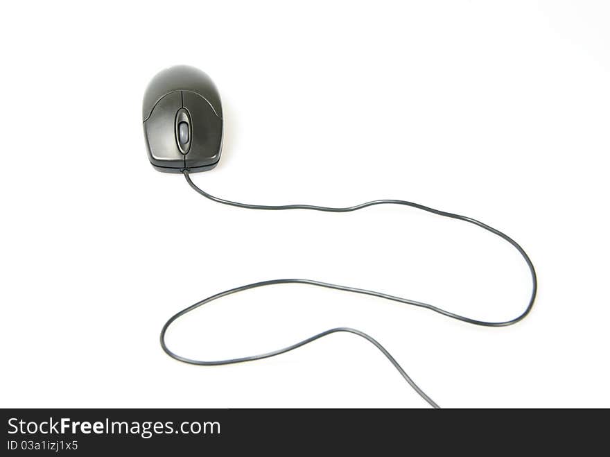 Computer mouse isolated on a white background