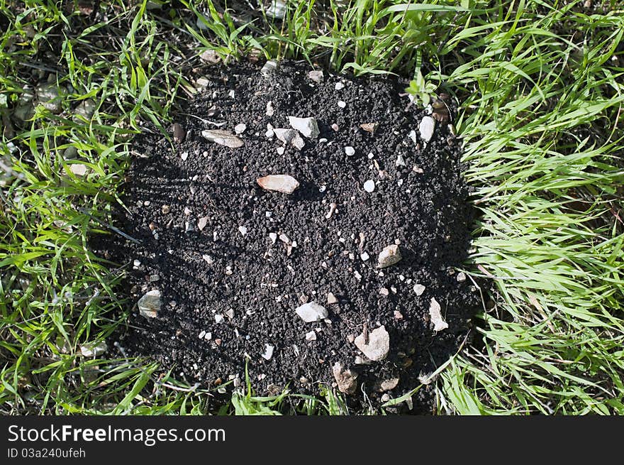 Black earth on a background of green grass. Black earth on a background of green grass