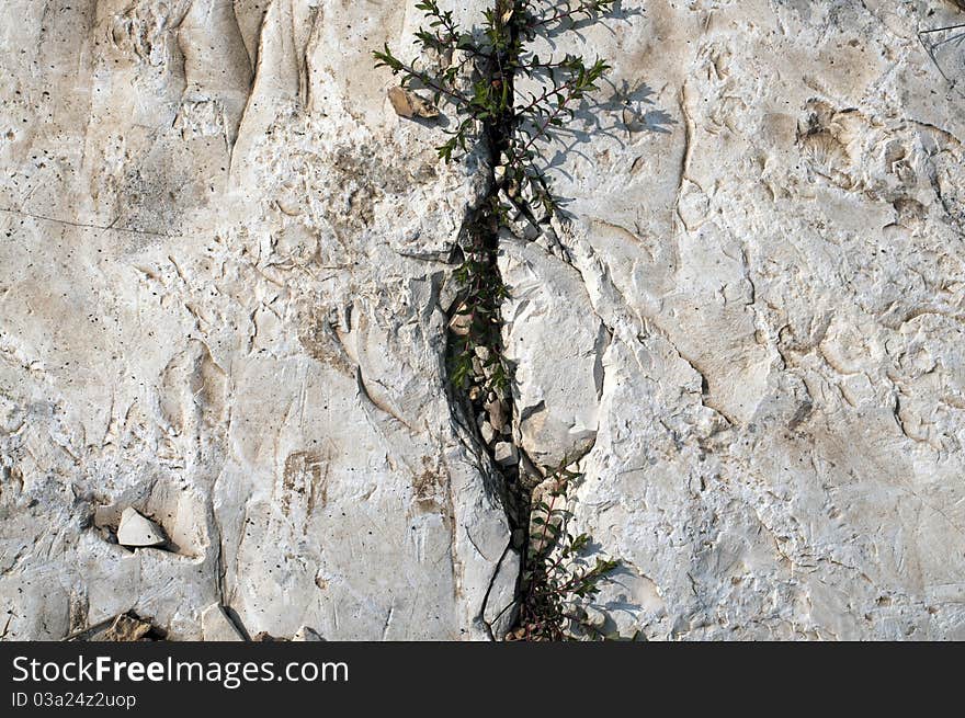 Stone with a crack in the middle for your background