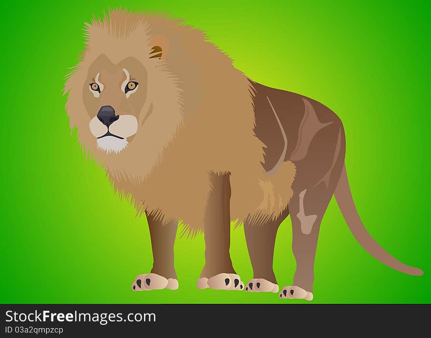 Lion king of beasts. Predator on a green background. Lion king of beasts. Predator on a green background.