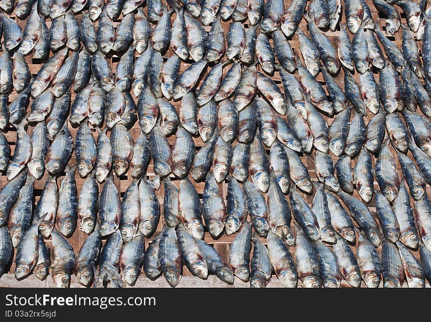 Dry fish