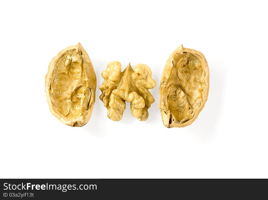 Walnut shelled and isolated on a white background