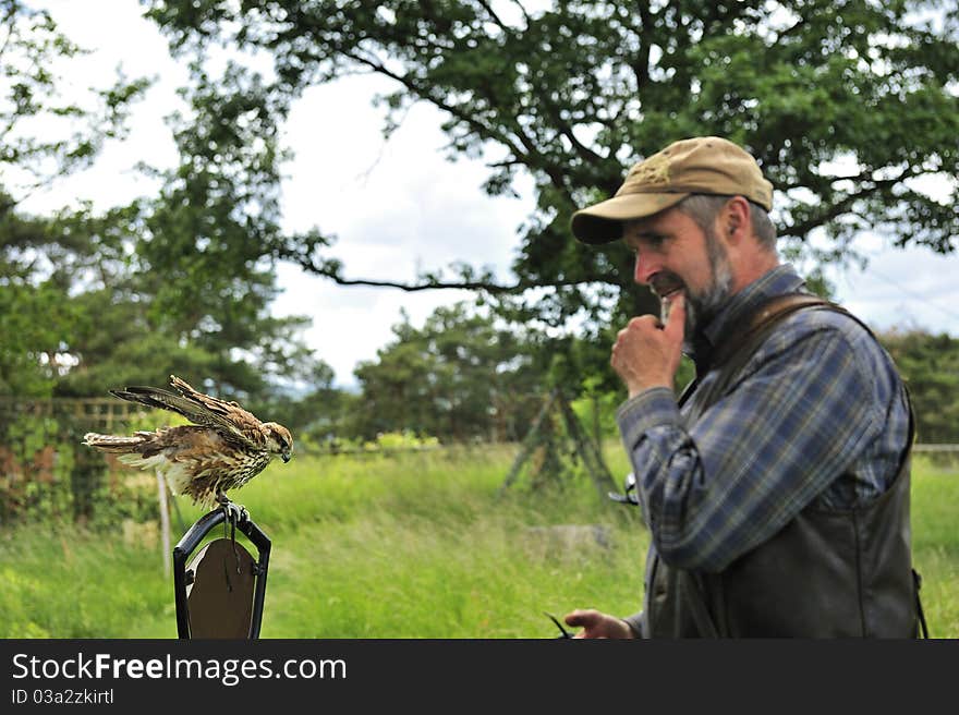 Falconer watching his bird at falconry in Harz. Falconer watching his bird at falconry in Harz.