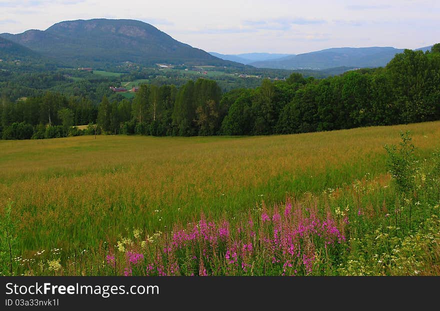 Beautiful Norway nature