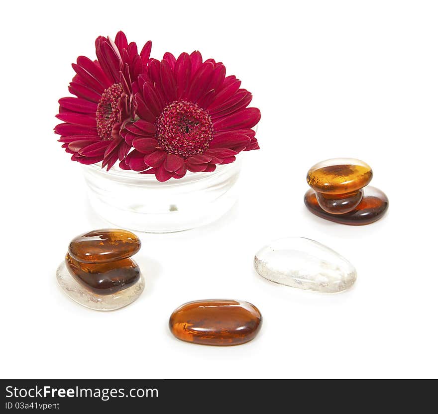 Glass stones and gerber flower. Glass stones and gerber flower