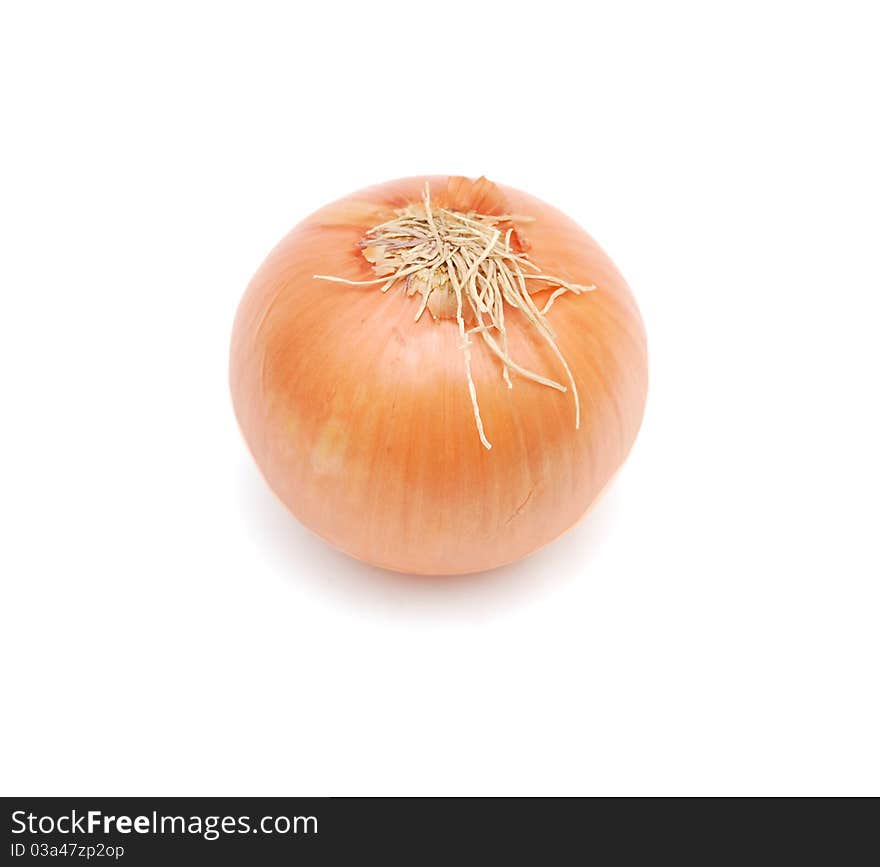 Food onion