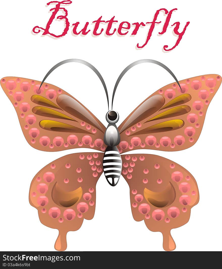 Jewel butterfly. vector