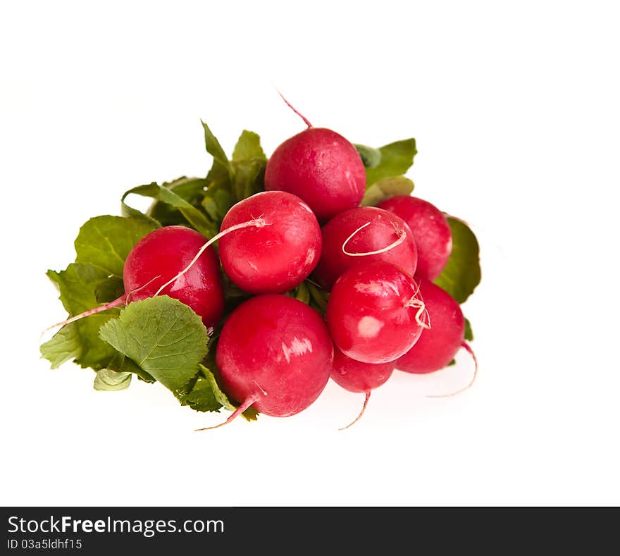 Radish isolated on white background