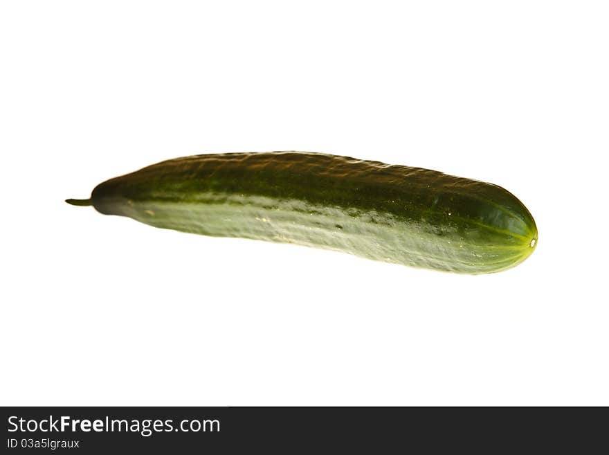 Cucumber isolated on white